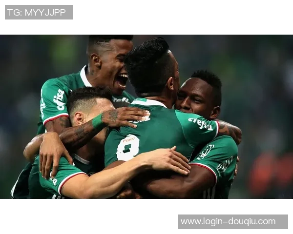 巴西对阵萨尔瓦精彩直播全程回顾与赛后分析